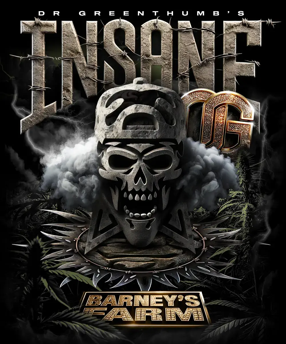 Barneys Farm Insane OG