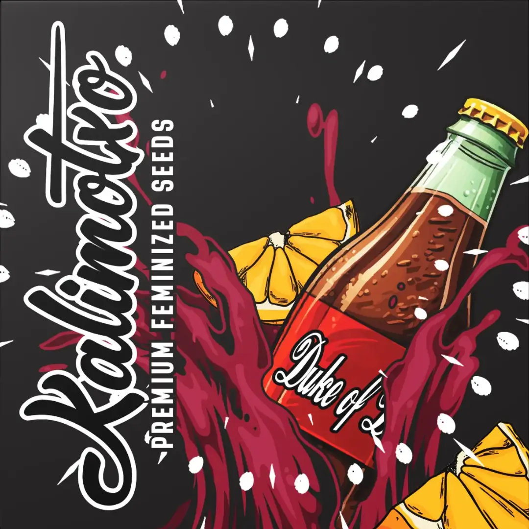 Doja Kalimotxo