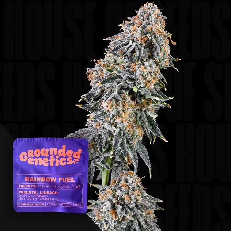 Grounded Genetics Rainbow Fuel