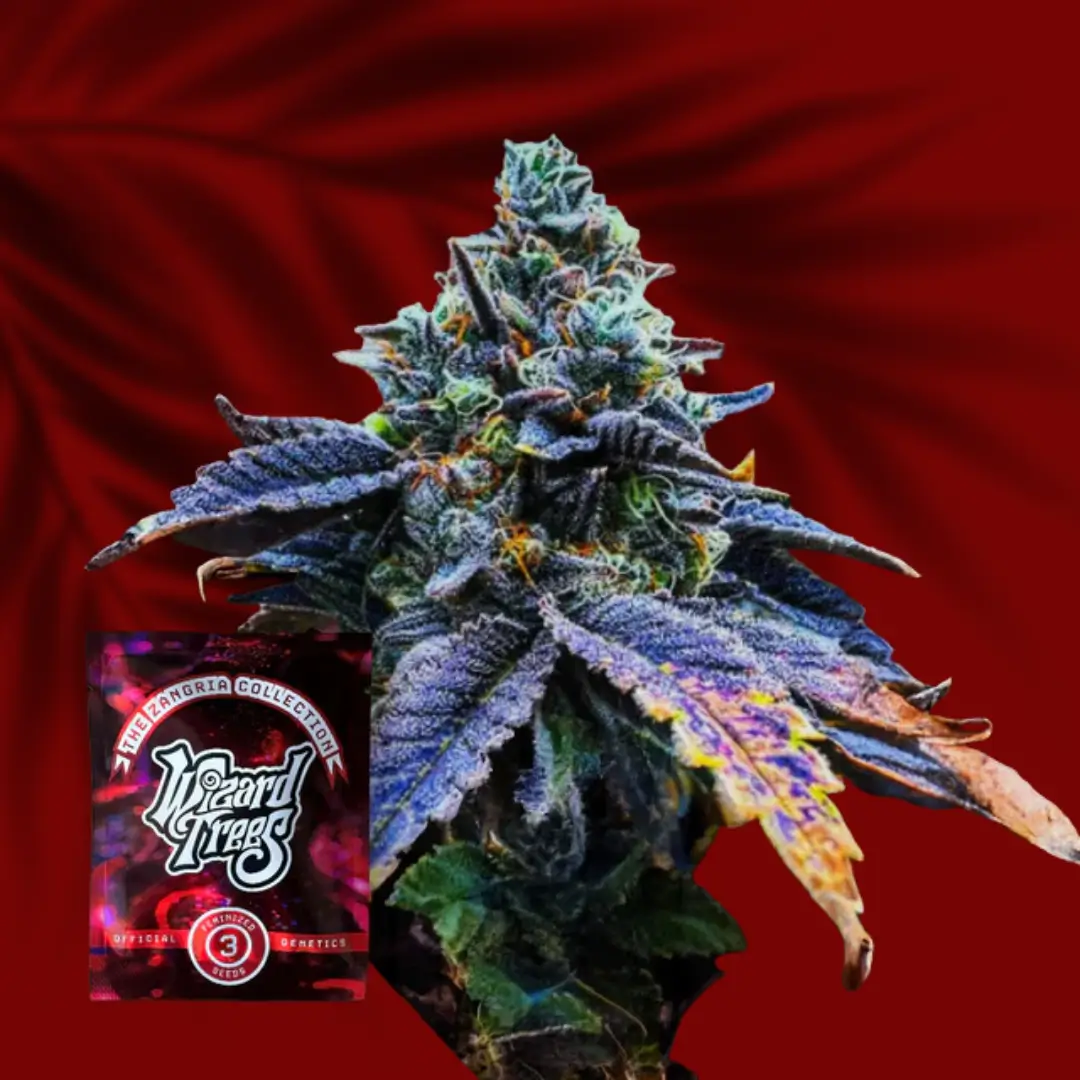 Wizard Trees Corked 1