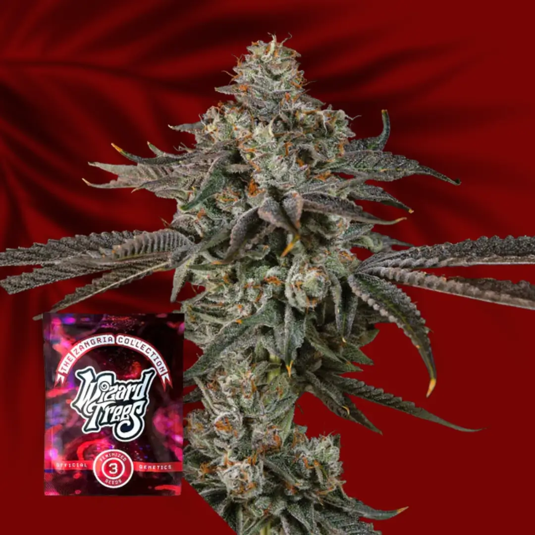 Wizard Trees Gas Gimlet