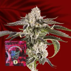 Wizard Trees Gridlock – 3 Stück