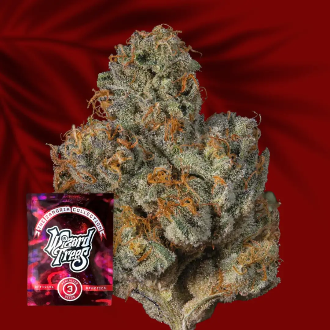 Wizard Trees Last Pour