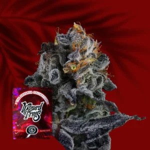 Wizard Trees Papaya Drip Zangria