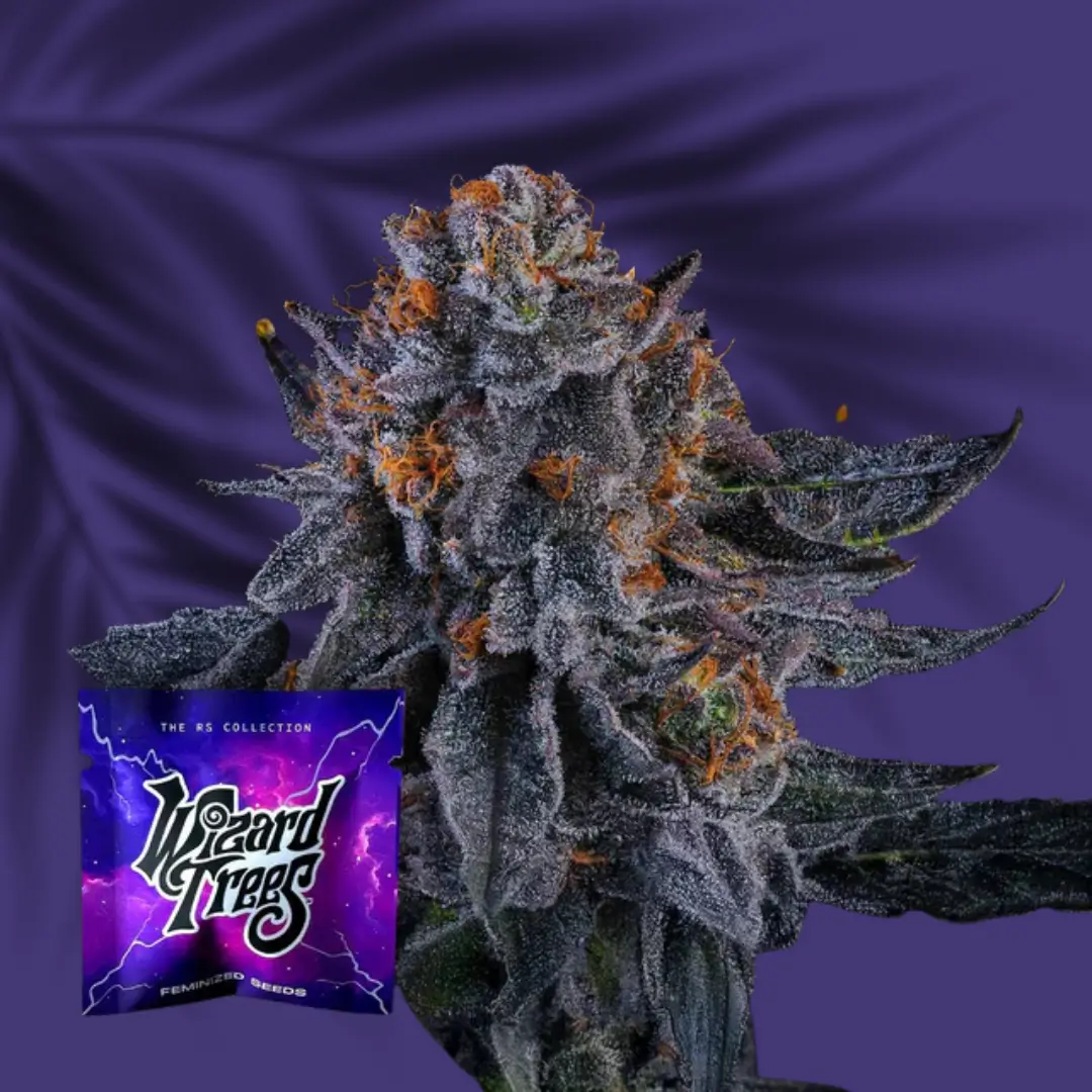Wizard Trees Wizard Fuel