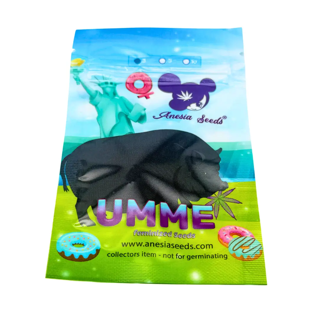 Anesia Seeds UMME Verpackung vorne