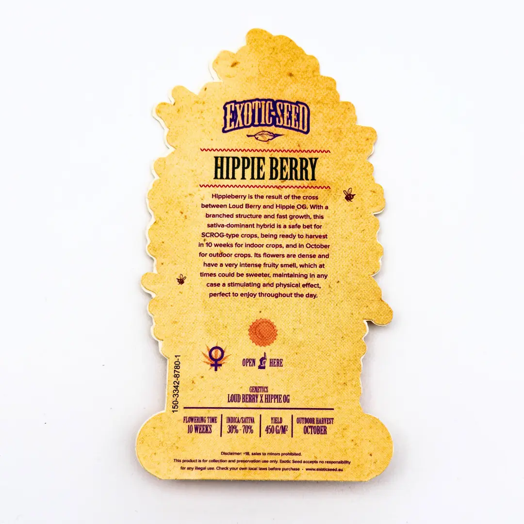 Exotic Seed Hippie Berry Verpackung hinten