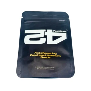 Fast Buds Orange President Auto