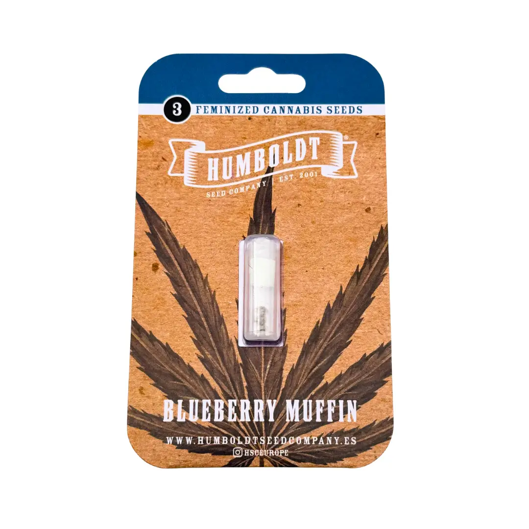 Humboldt Seed Co Blueberry Muffin Verpackung vorne