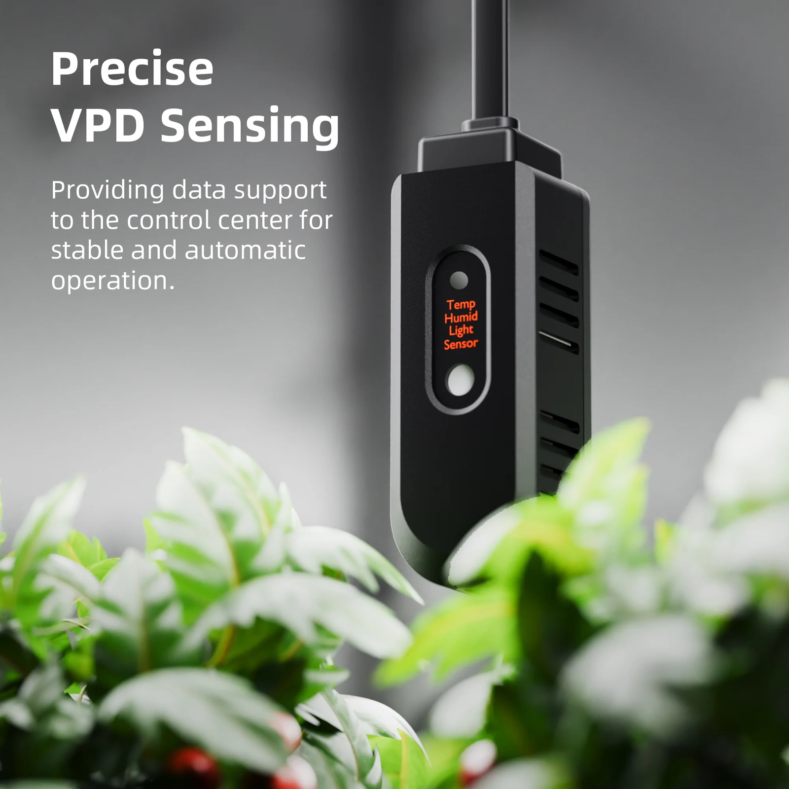 Spider Farmer Luftbefeuchter 5L Cool Mist 4