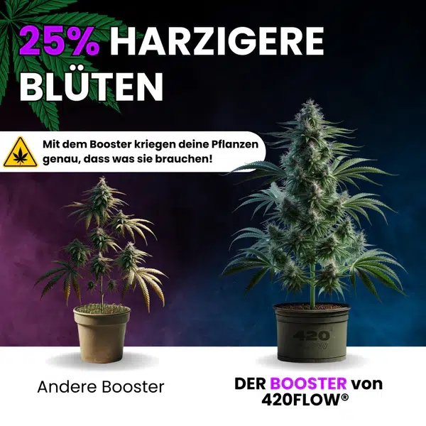 420flow Der Booster 6