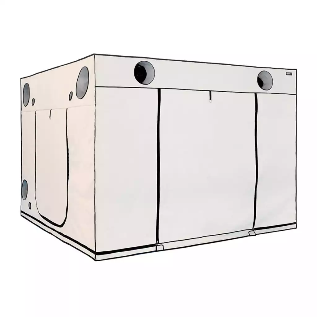 HOMEbox Ambient Q300+ Growbox 300x300x220cm 2