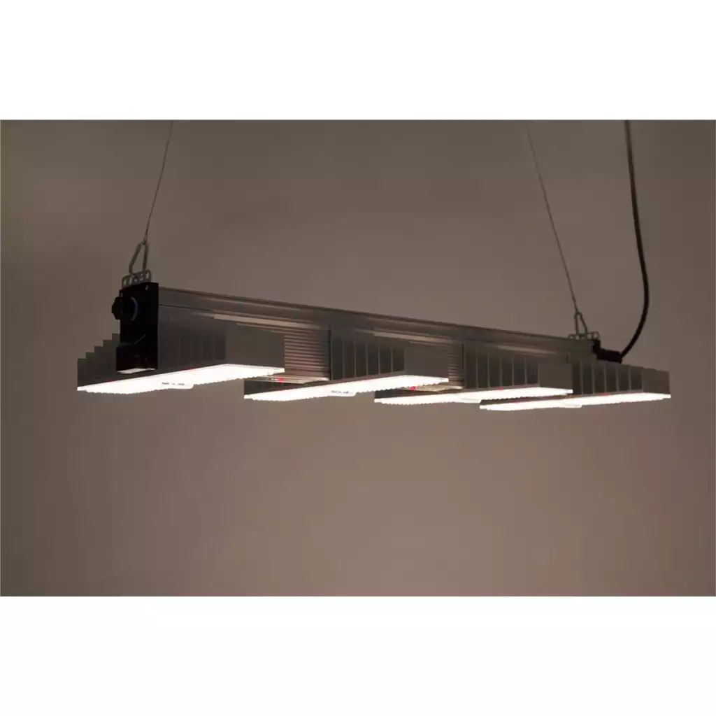 sanlight evo 4 100 led 3