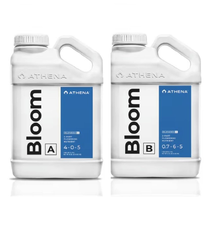 Athena Bloom A+B 2x 946 ml