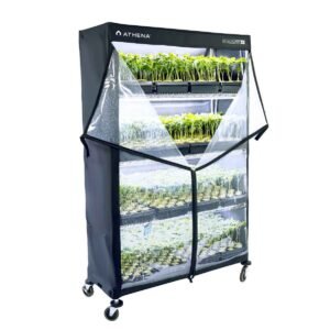 Athena VPDome Set (Hülle u. Regal)