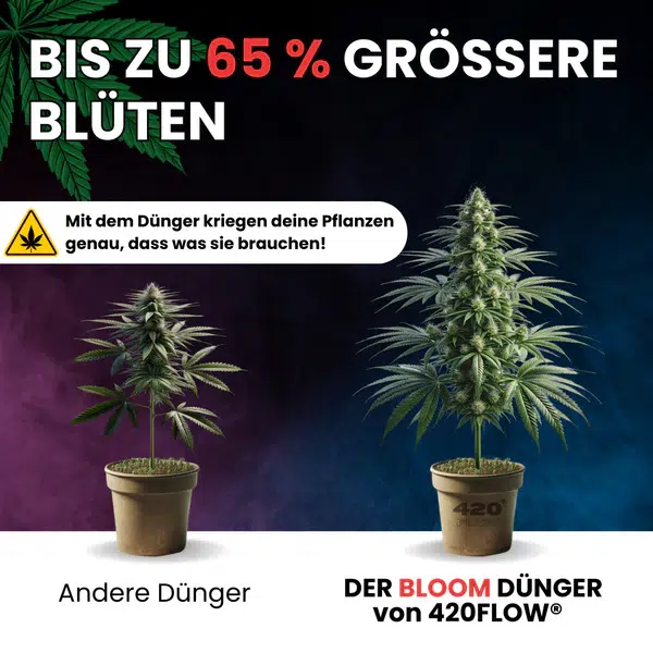 420flow Der Bloom Dünger 3