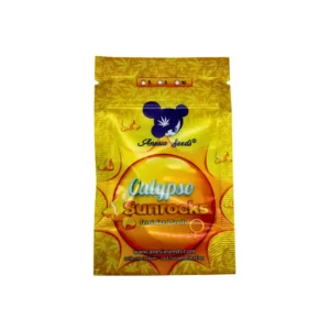 Anesia Seeds Calypso Sunrocks – 3 Samen