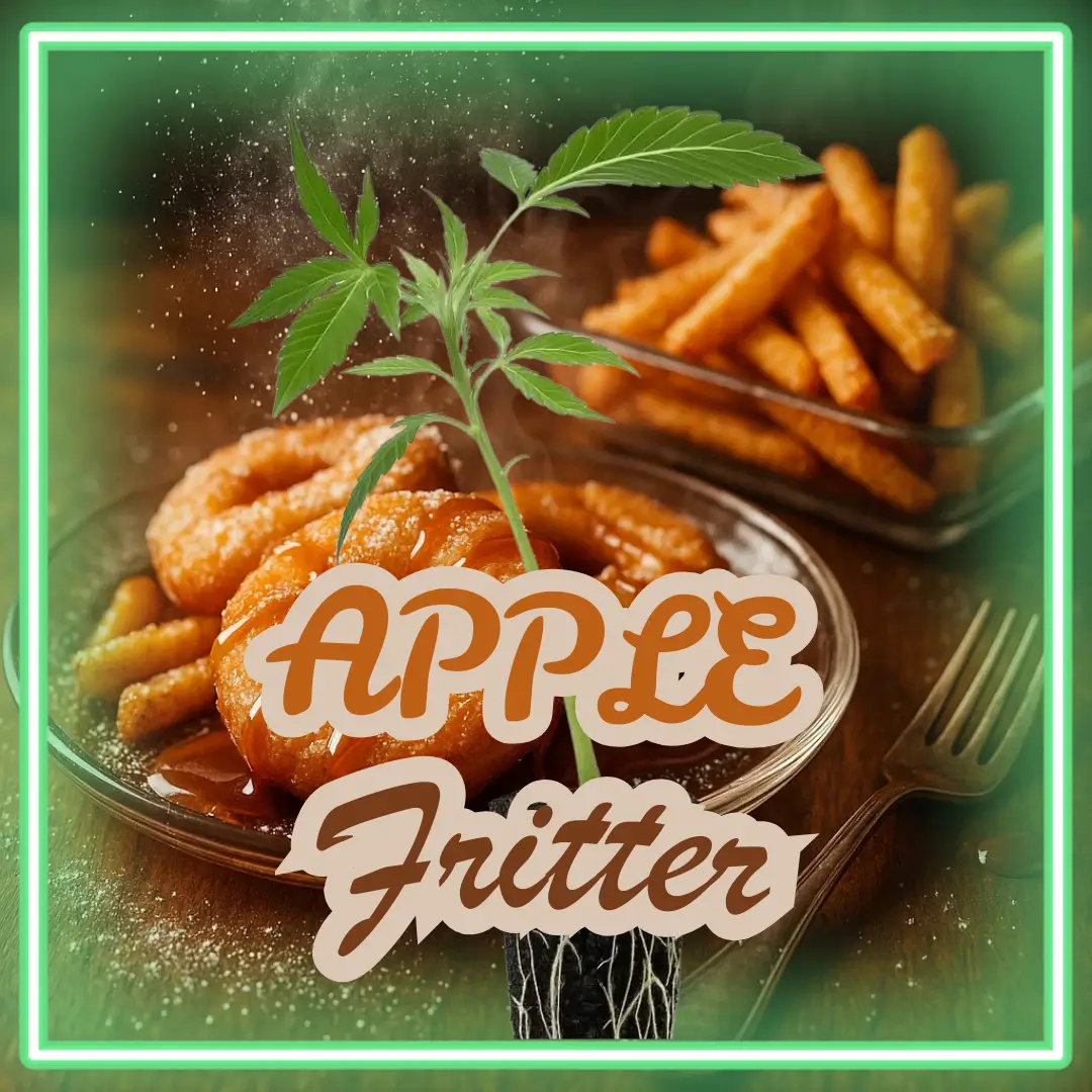 Apple Fritter Cannabis Stecklinge Hanfsteckling