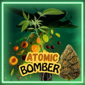 Atomic Bomber
