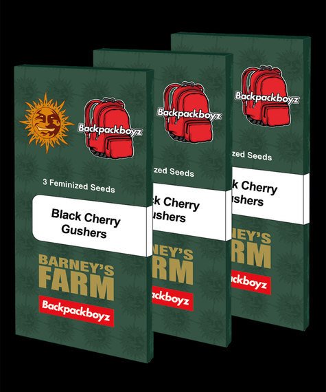 Barneys Farm Black Cherry Gushers 4