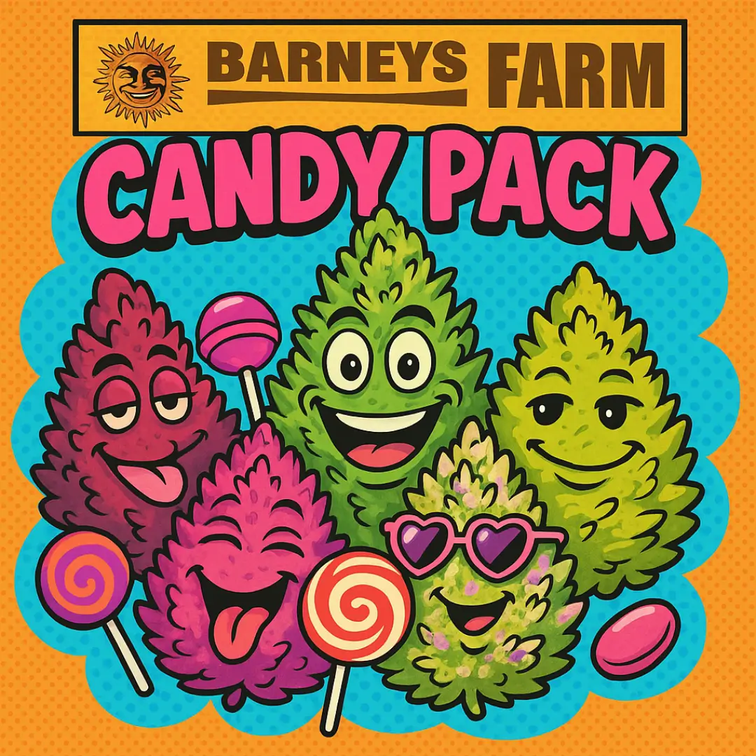 Barneys Farm Candy Pack HJ