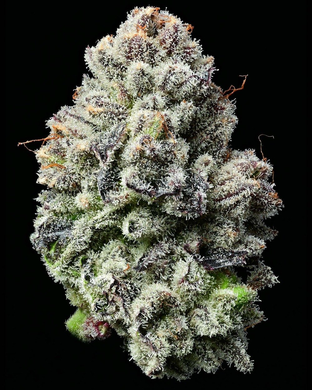 Barneys Farm Lemon Cherry Gelato 3