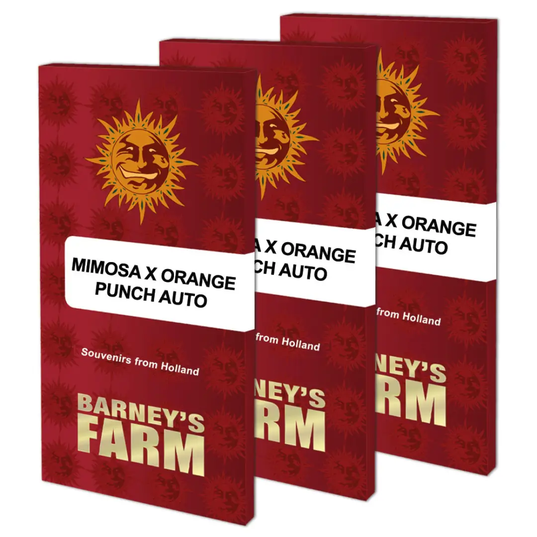 Barneys Farm Mimosa x Orange Punch Auto Verpackung