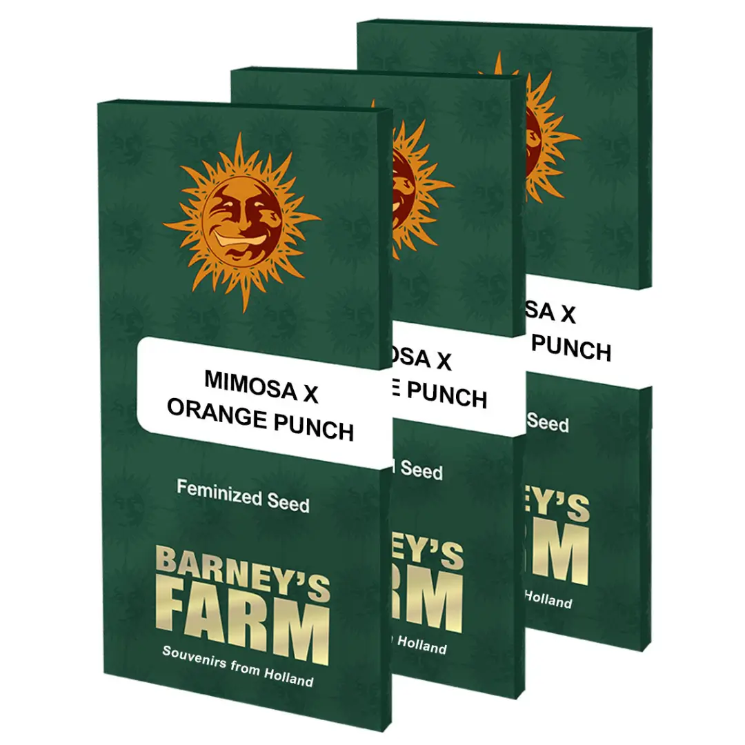 Barneys Farm Mimosa x Orange Punch Verpackung