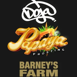 Barneys Farm Papaya Frosting 3er Pack + 3er Giftpack Gratis dazu