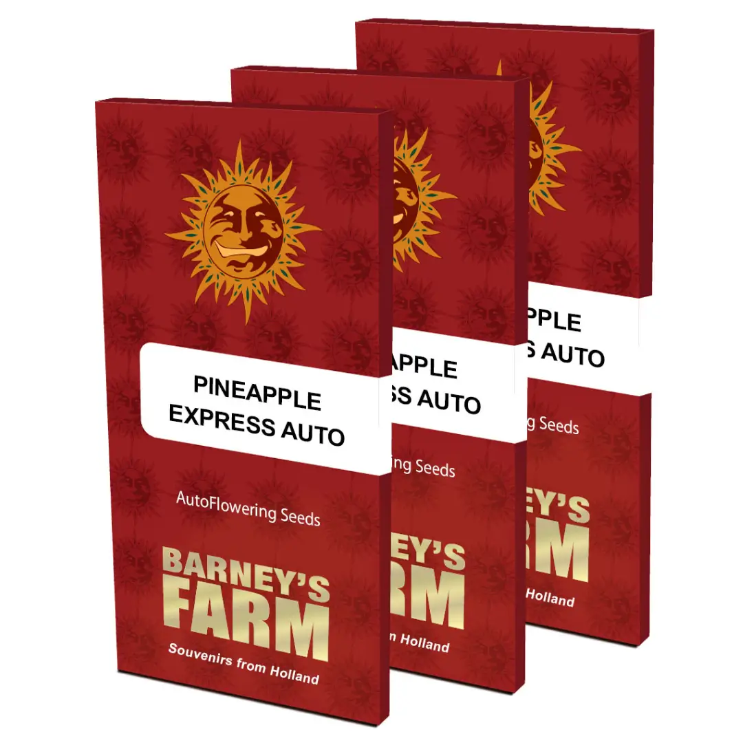 Barneys Farm Pineapple Express Auto Verpackung
