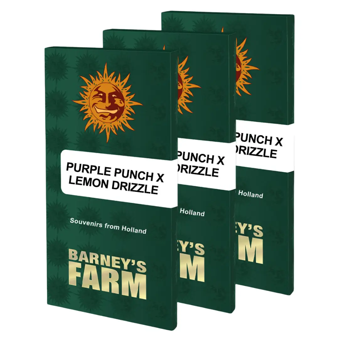 Barneys Farm Purple Punch x Lemon Drizzle Verpackung
