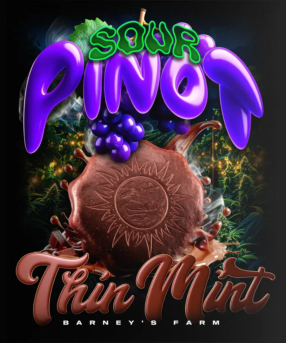 Barneys Farm Thin Mint x Sour Pinot Auto