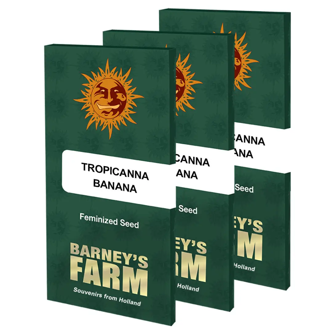 Barneys Farm Tropicanna Banana Verpackung