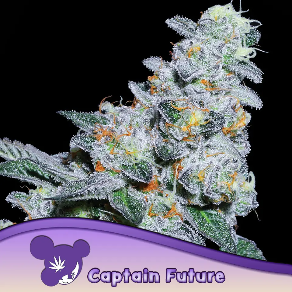 Captain Future 960x960