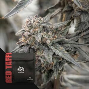 Doja Red Taffi – 3 Stück