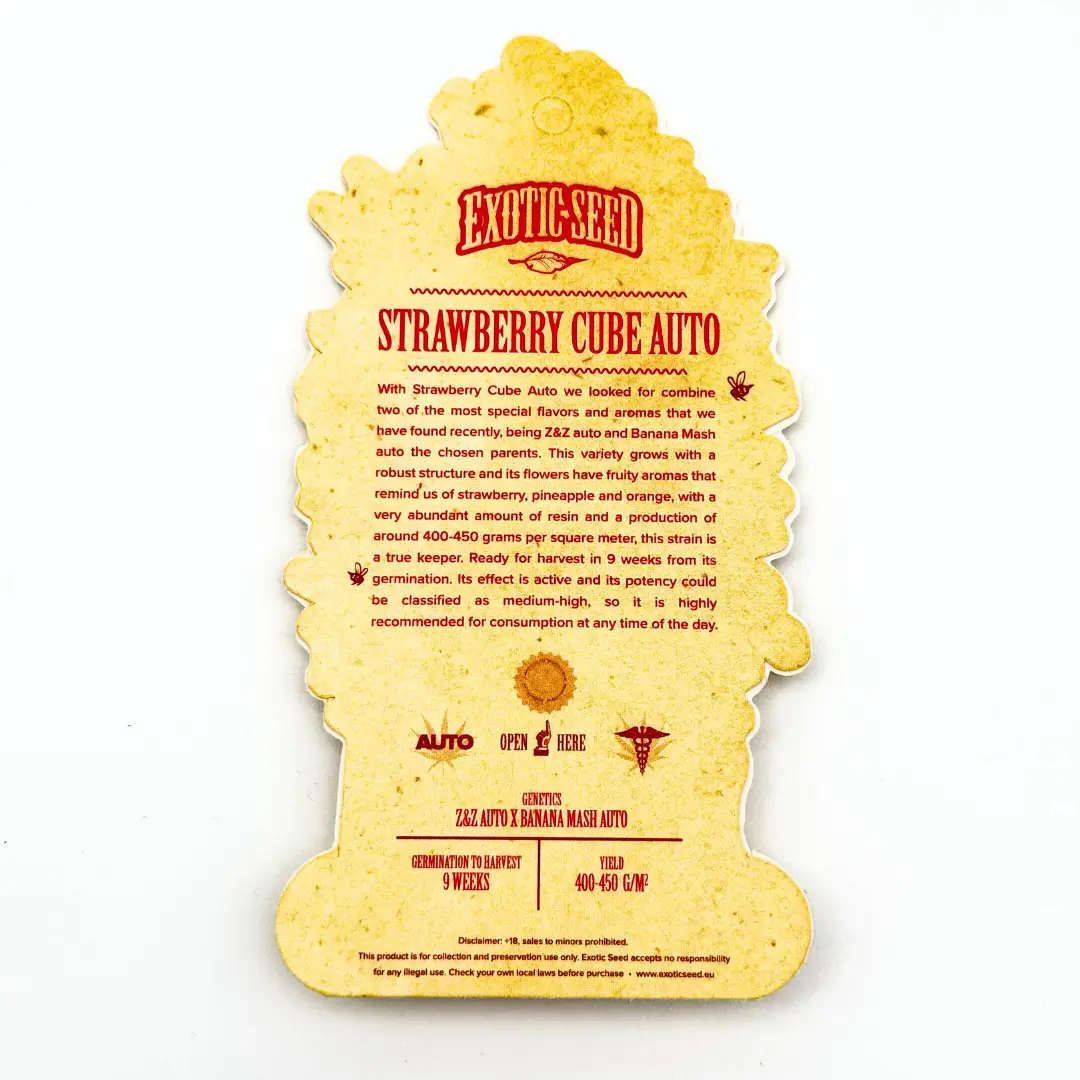 Exotic Seed Strawberry Cube Auto Verpackung hinten