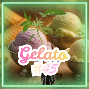 Gelato #45