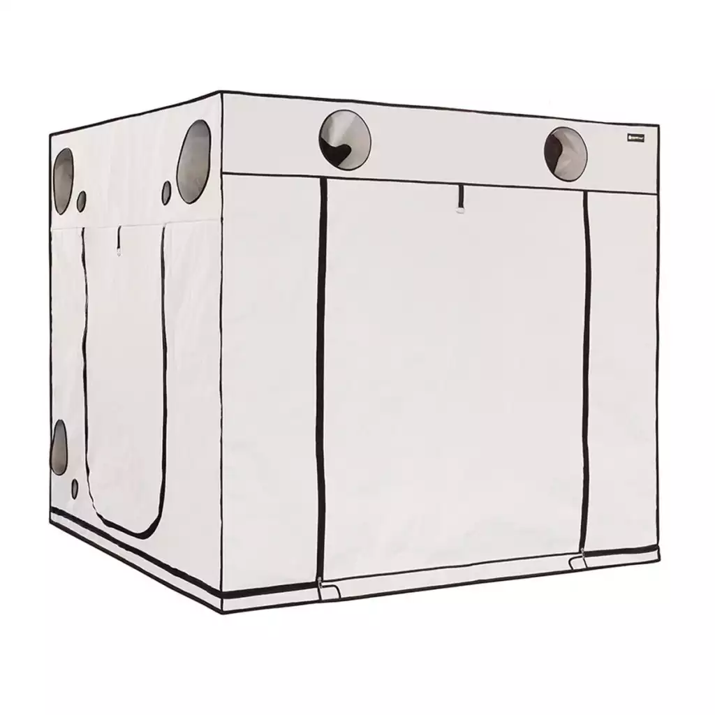 HOMEbox Ambient Q240+ Growbox 240x240x220cm 2