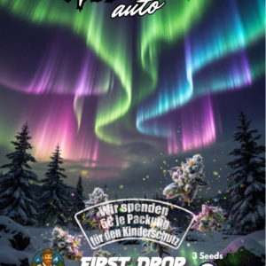 Hanfjack Seeds Aurora Auto – 3 Seeds