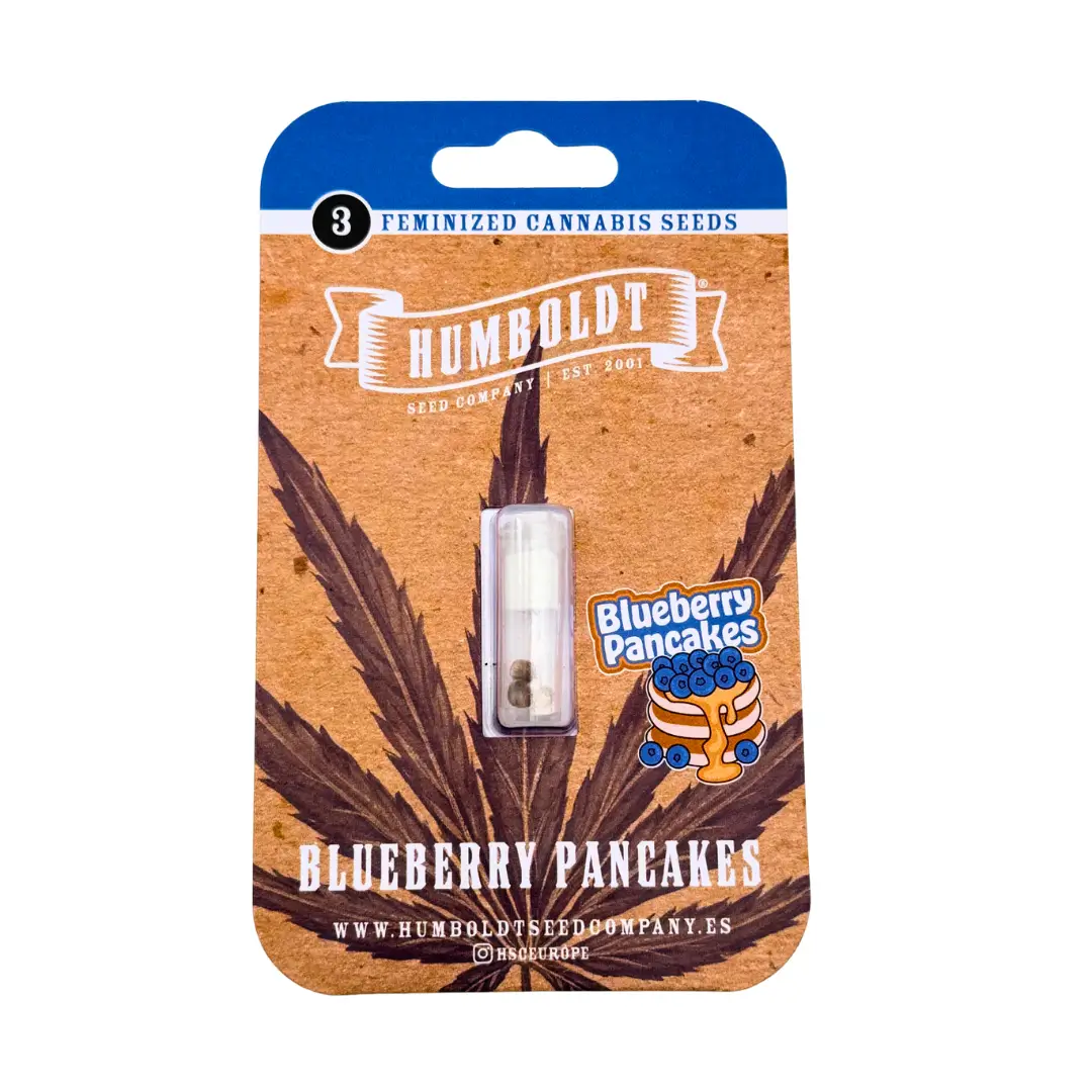 Humboldt Seed Co Blueberry Pancakes Verpackung vorne