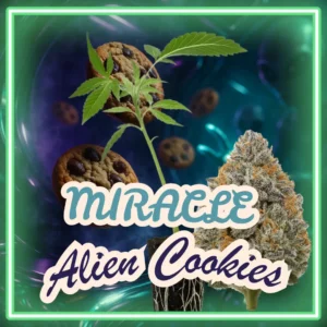 Miracle Alien Cookies (MAC1)