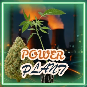 Power Plant