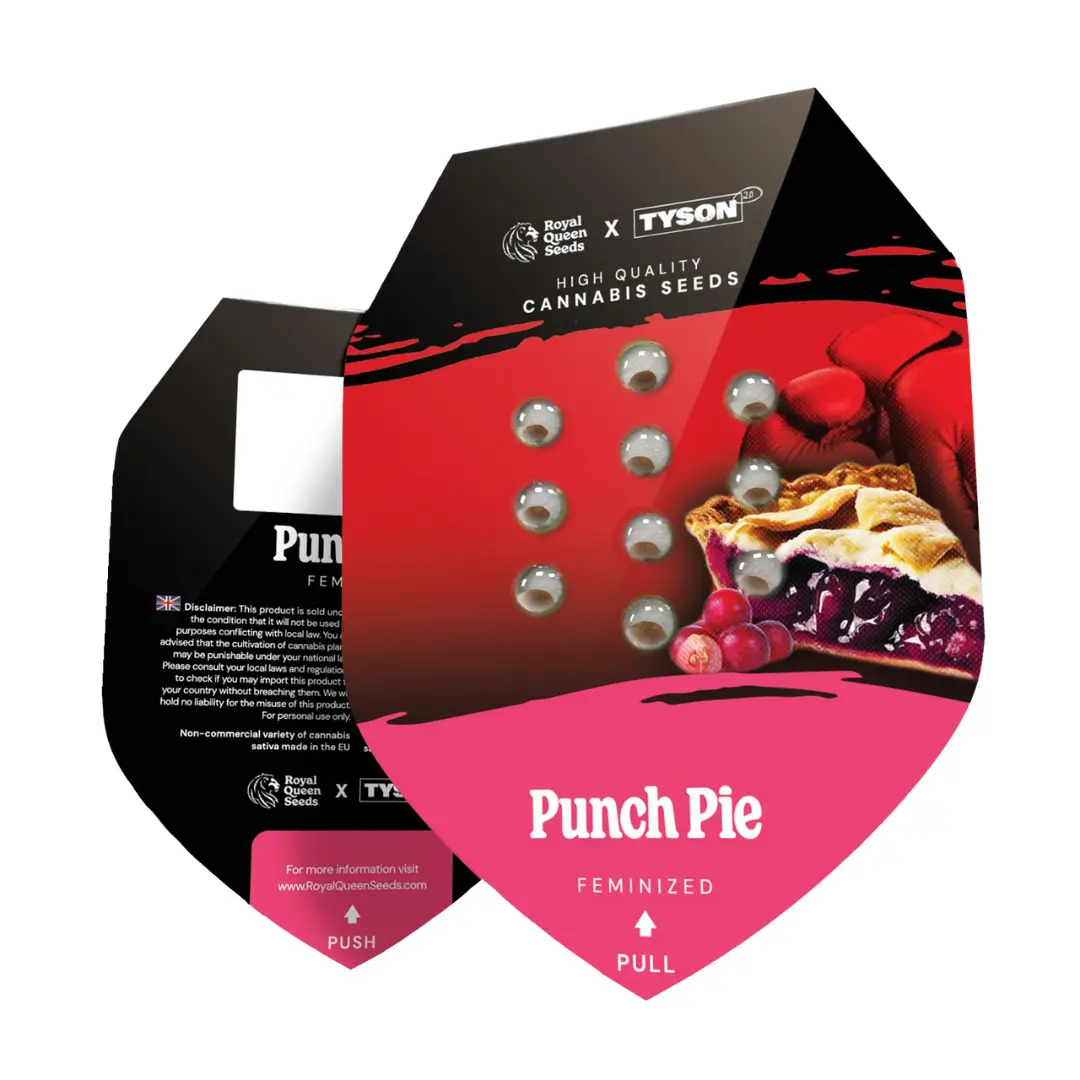 Royal Queen Seeds x Tyson Punch Pie