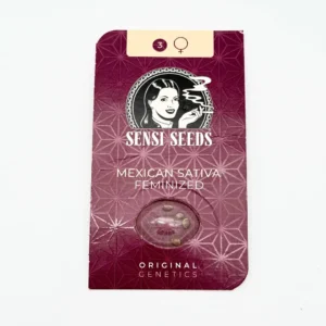 Sensi Seeds Mexican Sativa