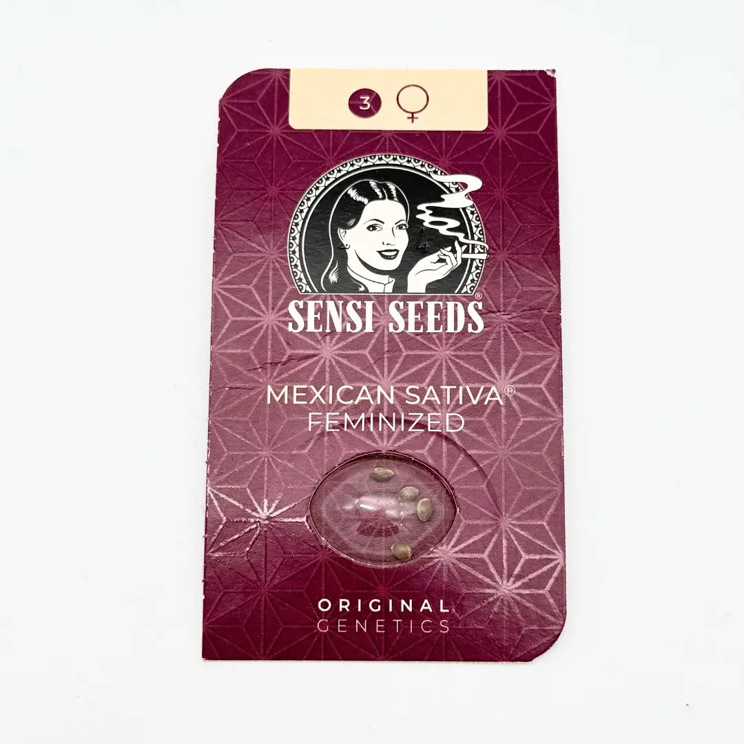 Sensi Seeds Mexican Sativa Verpackung vorne