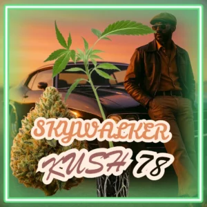 Skywalker Kush 78
