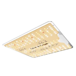 Spider Farmer SF-1000-D 100W Vollspektrum LED Pflanzenlampe nicht dimmbar