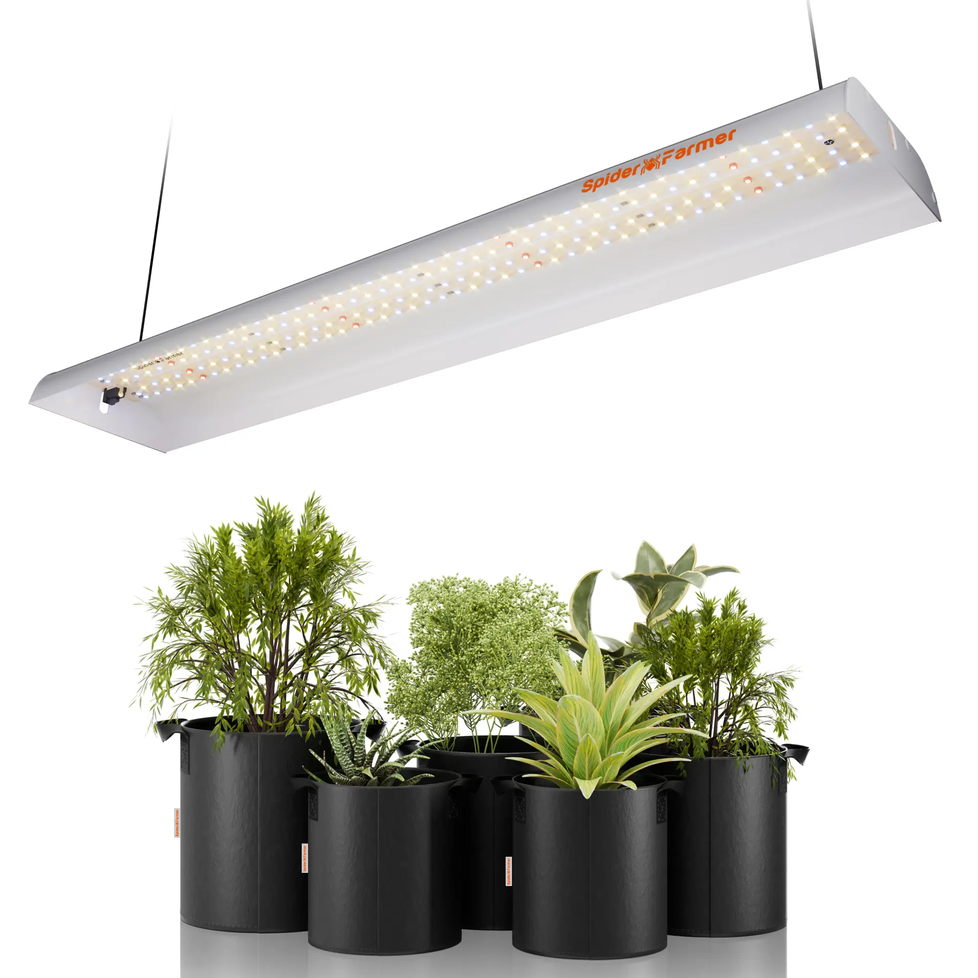Spider Farmer SF300 33W LED Growlampe 2