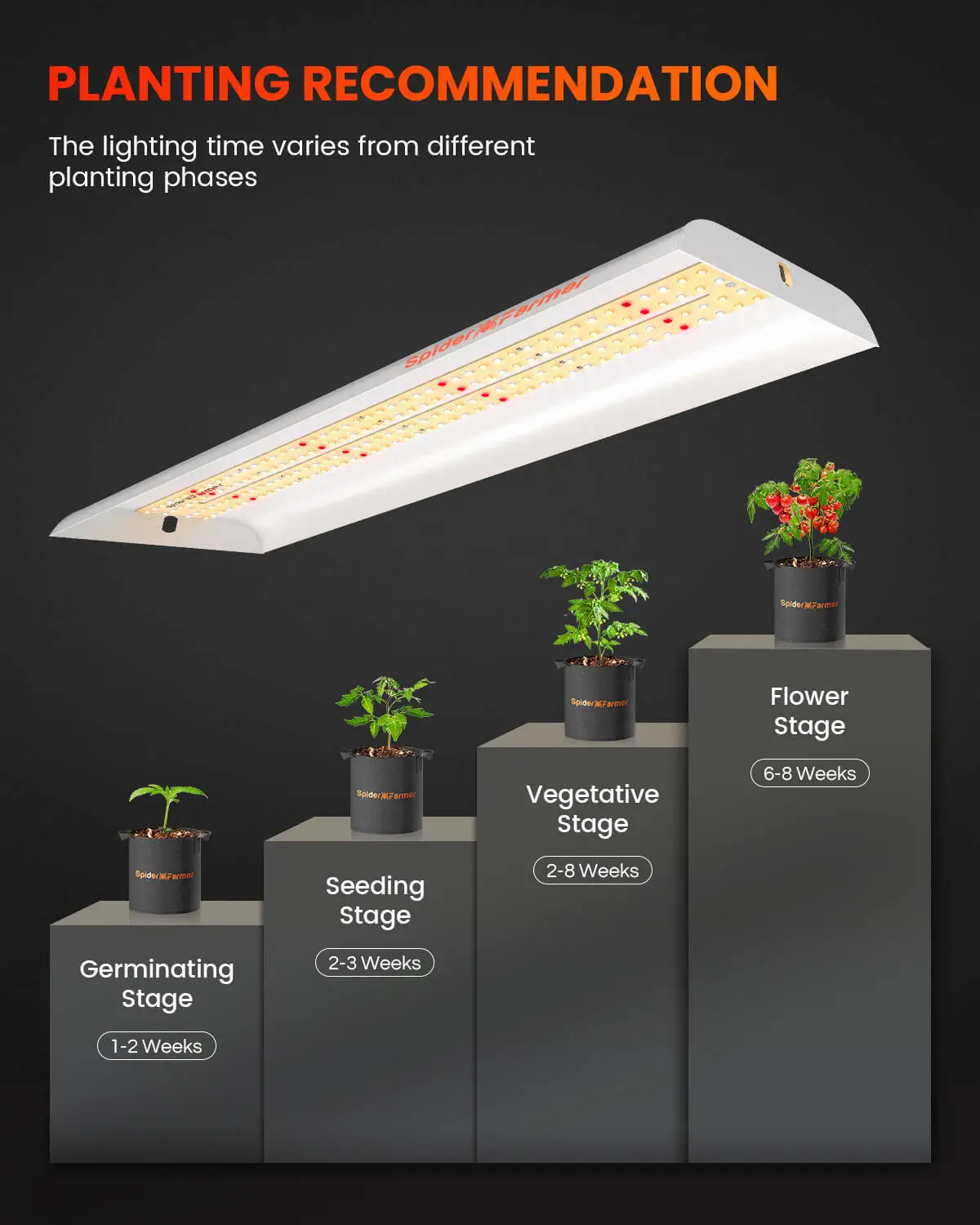Spider Farmer SF300 33W LED Growlampe 7