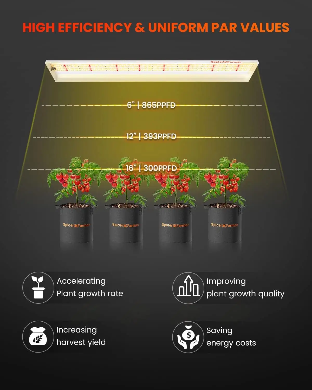 Spider Farmer SF600 74W LED Growlampe 2